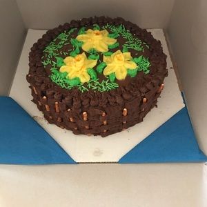 Meet your Posher, Holly